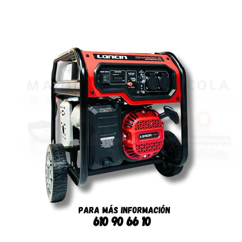 Generador - Loncin GH4500 (10).webp